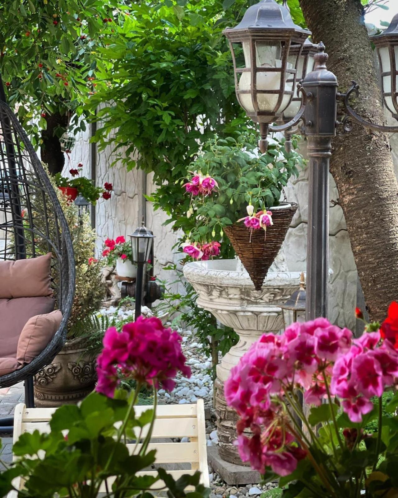 Casa Rosca Hotel Sighisoara Luaran gambar
