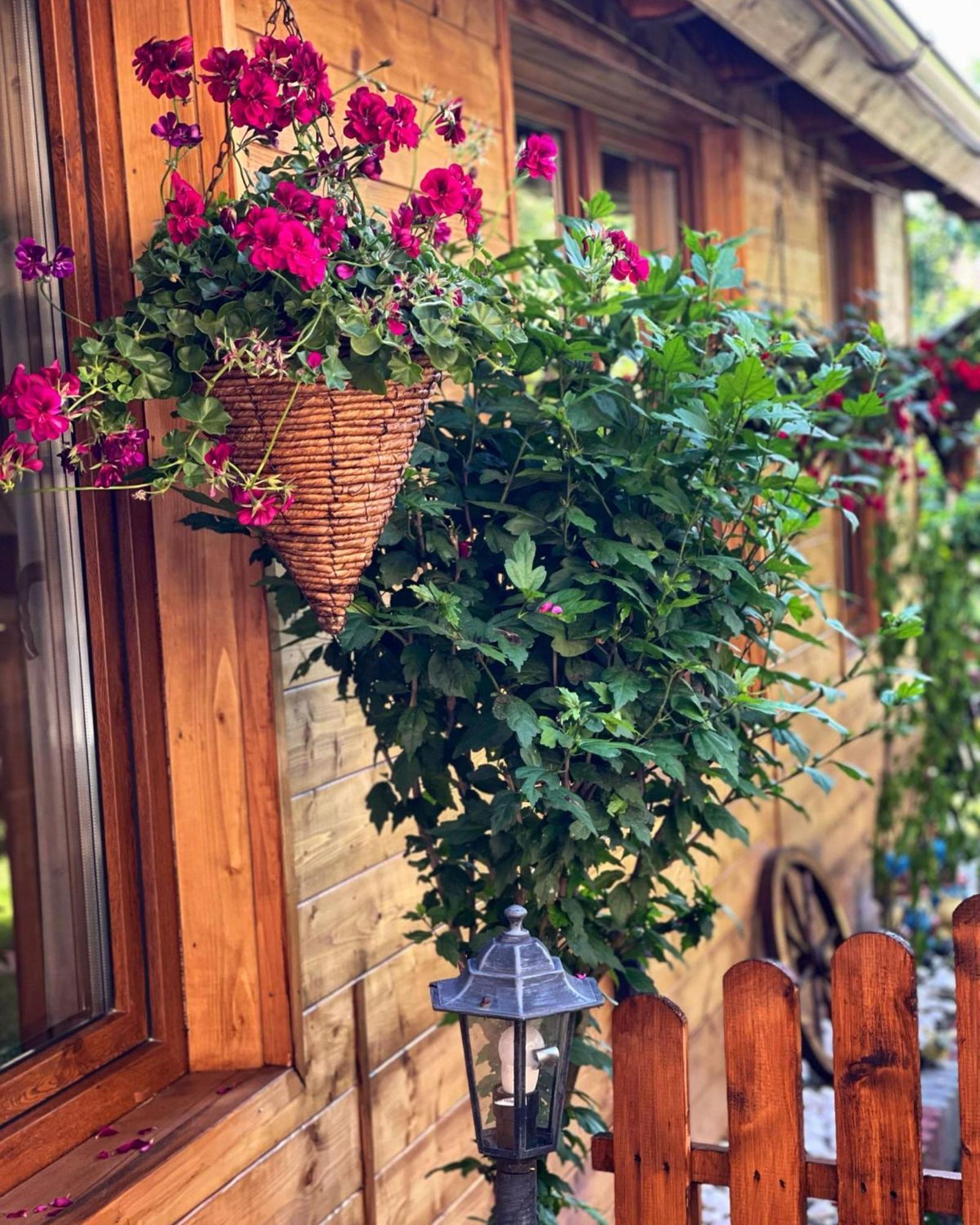 Casa Rosca Hotel Sighisoara Luaran gambar