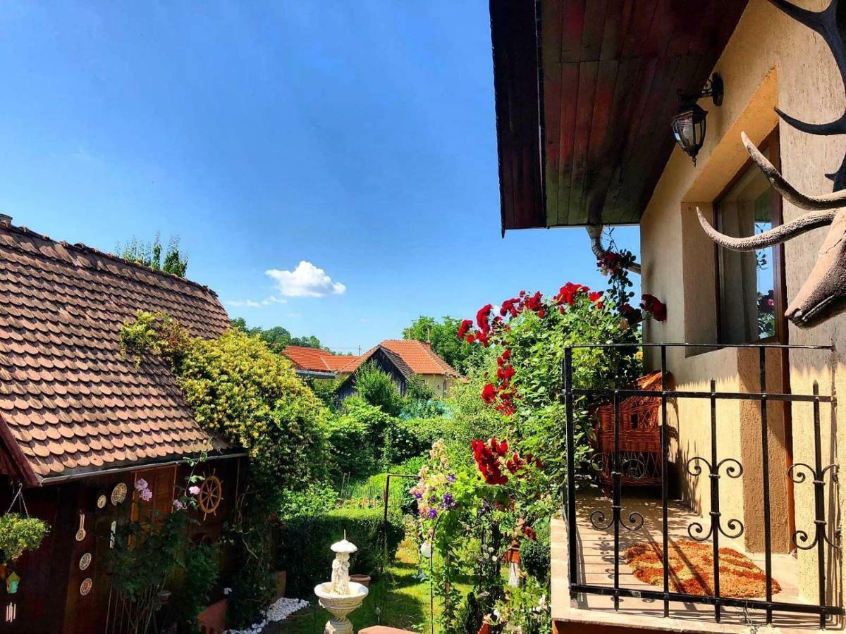 Casa Rosca Hotel Sighisoara Luaran gambar