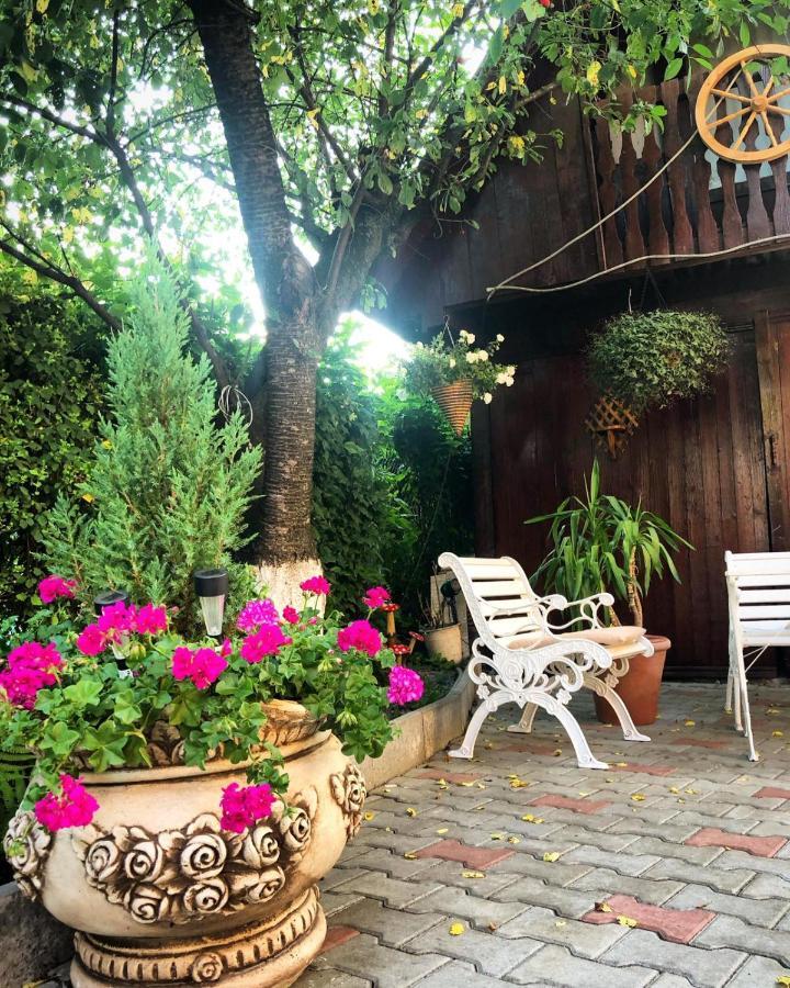 Casa Rosca Hotel Sighisoara Luaran gambar